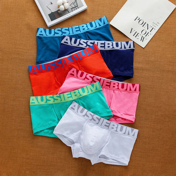 Cotton Underwear for Men, Low Waisted, Sexy Trendy Briefs, Comfortable Sweat-Absorbent, Antibacterial Boxer Shorts, Brand Underp