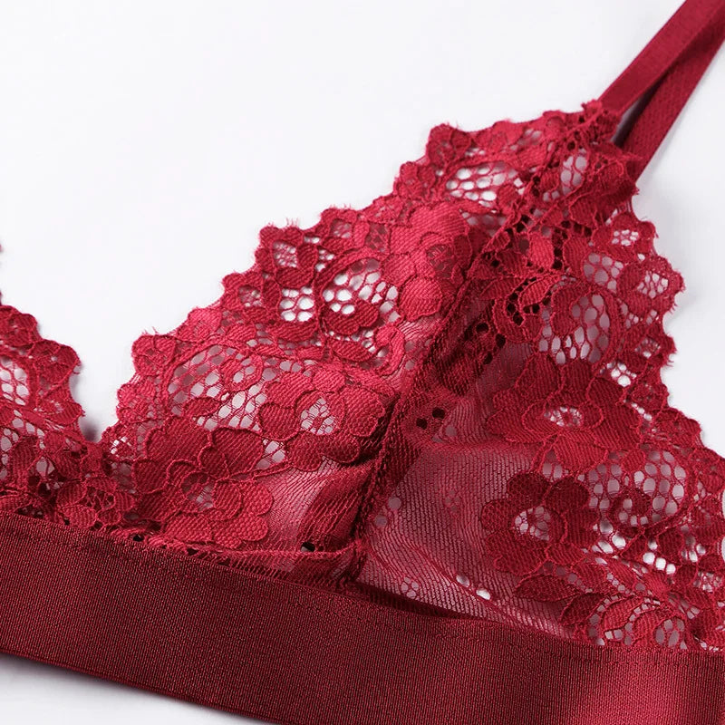 Lady Sexy Lace Bras French Style Triangle Cup Brassiere Erotic Lingerie Thin Floral Mesh Underwear Active Bra Women's Intimates